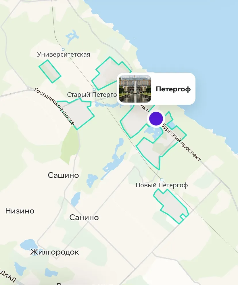 Зона покрытия Делимобиль в Петергофе