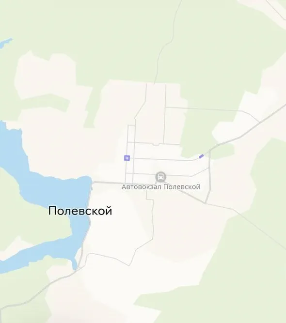 Зона покрытия Делимобиль в Полевском