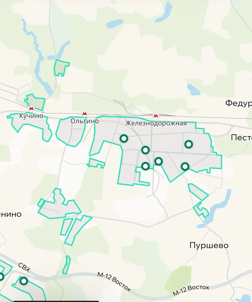 Зона покрытия Делимобиль в Железнодорожном